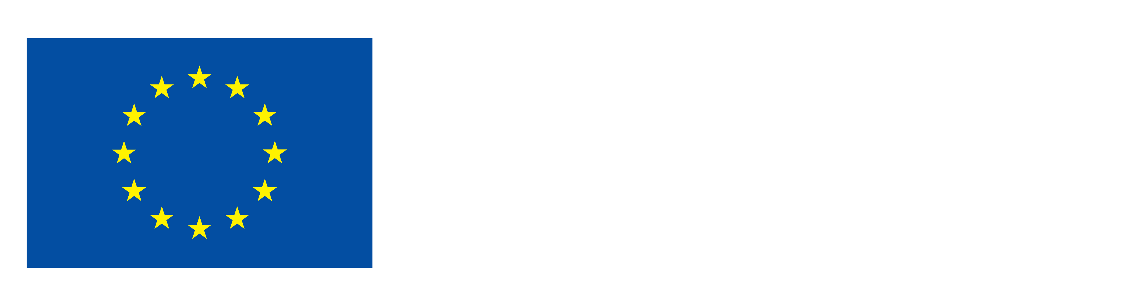 Funded by the European Union NextGenerationUE